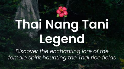  Nang Pim Story: An Unforgettable Tale About Thai Folklore and Mysterious Powers!